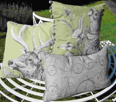 Autumn Colours Cushions at Dean Prior Home Living Showroom